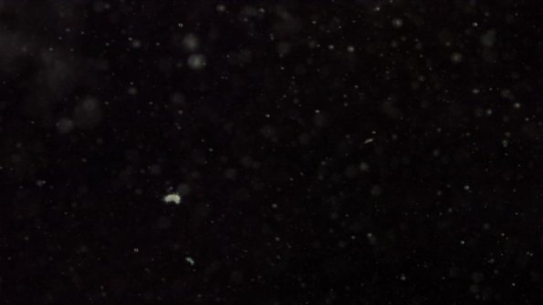 Slowmotion bubbles in a vortex II