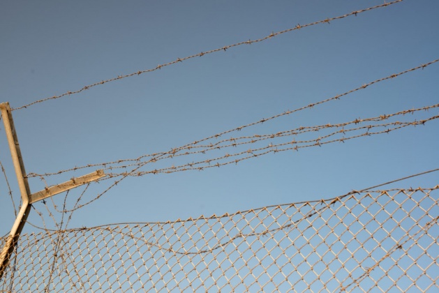 OpenfootageNET_reference_barbedwire (1 von 1)