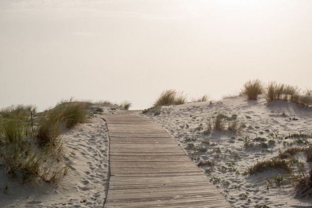 OpenfootageNET_reference_dunes (6 von 9)