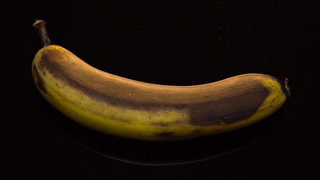 Timelapse rotten banana