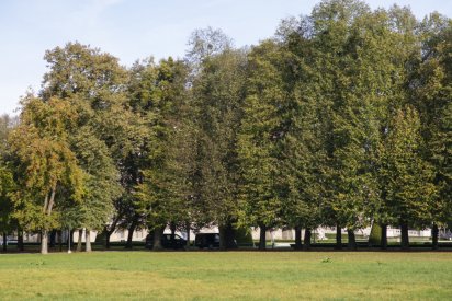 00491_Backplates_Preview_0034