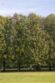 00491_Backplates_Preview_0035