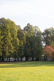 00491_Backplates_Preview_0036