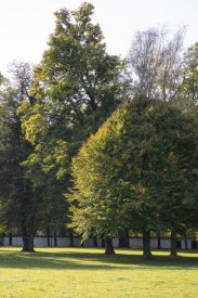 00491_Backplates_Preview_0037