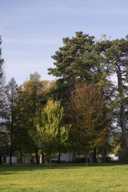 00491_Backplates_Preview_0038