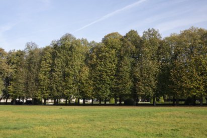 00491_Backplates_Preview_0039