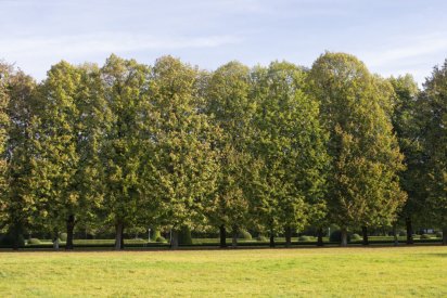 00491_Backplates_Preview_0040