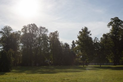 00491_Backplates_Preview_0042