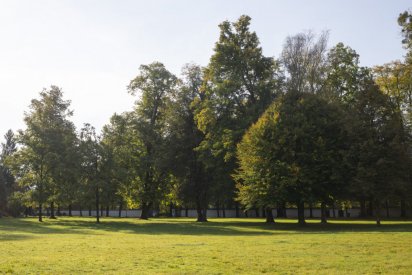 00491_Backplates_Preview_0043