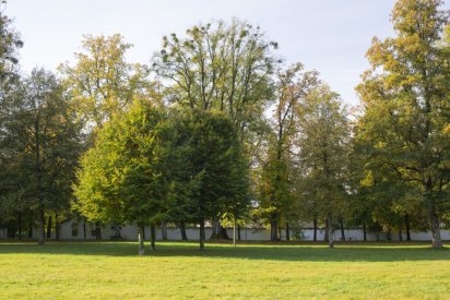 00491_Backplates_Preview_0044