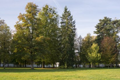 00491_Backplates_Preview_0045