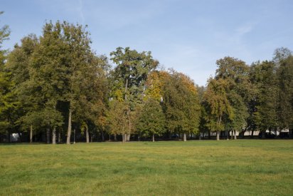 00491_Backplates_Preview_0046