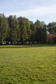 00491_Backplates_Preview_0048