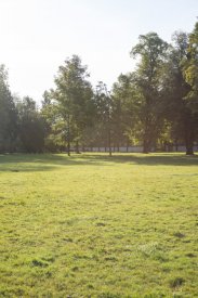 00491_Backplates_Preview_0049