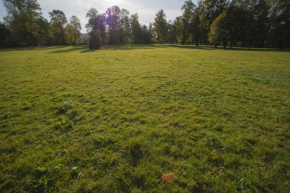 00491_Backplates_Preview_0060