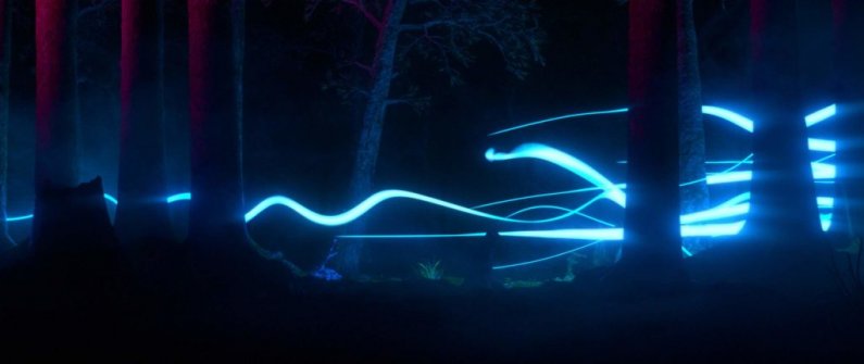 follow the white rabbit