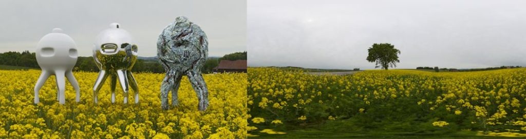 HDRI / 360° yellow canola field in spring