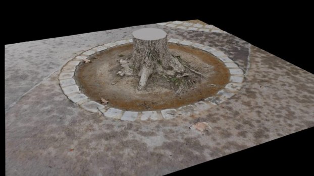 Asset treestump 3dscan