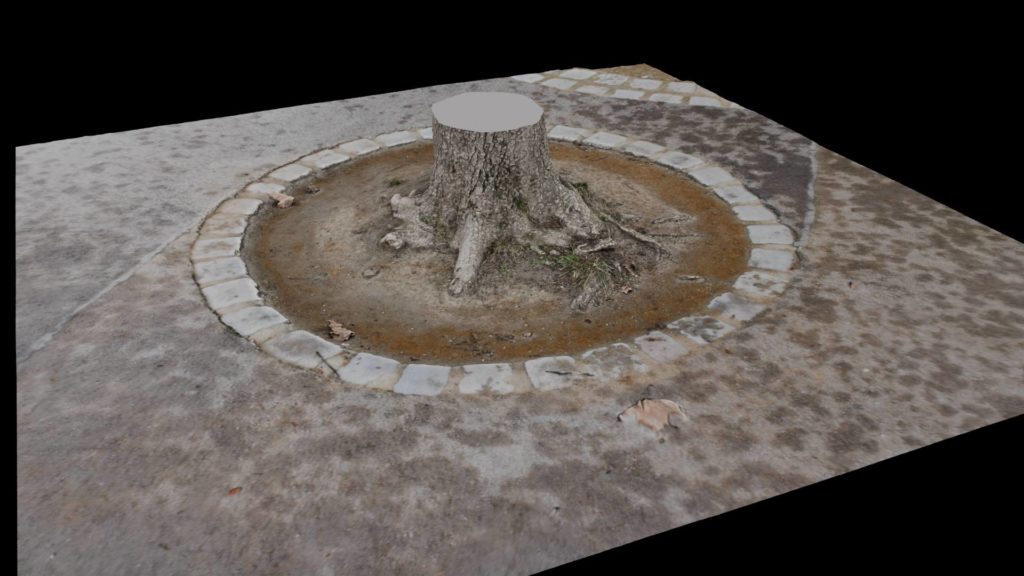Asset treestump 3dscan
